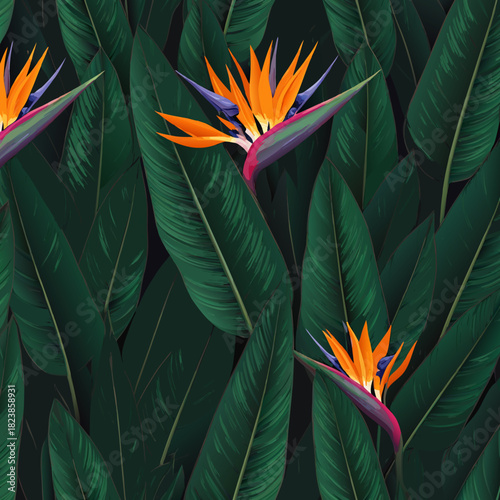 Vibrant Bird of Paradise Flowers Amidst Lush Foliage.