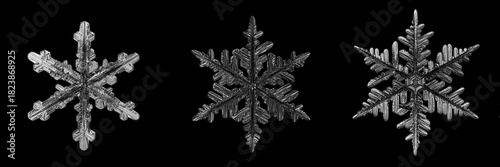 set of snowflakes on a black background, real photos natural crystals macro photo isolated on a dark background