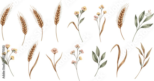 Botanical Variety Collection of Wheat, Flowers, and Leaves in Watercolor