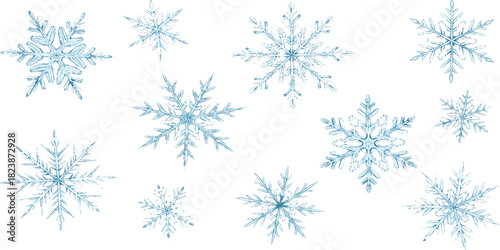 Collection of twelve diverse blue snowflakes, illustrating winter's delicate artistry and the beauty of frozen crystals in varying sizes and intricate patterns on a white background
