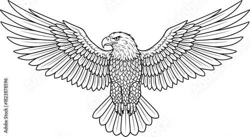 Eagle vector illustration, black and white line art, symmetrical wings spread, detailed feathers, powerful talons, front view, majestic bird, wildlife, predator