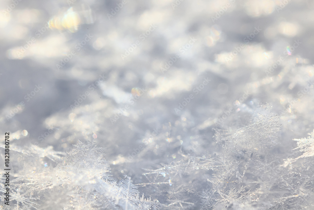 Fototapeta premium Winter white snow background, abstract blurred snowfall surface