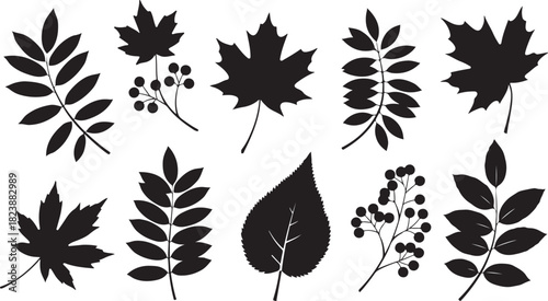 Black Silhouette Collection of Autumn Leaves and Berries leaf fall