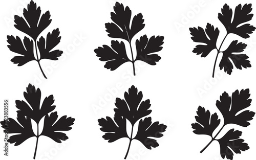 Black Silhouette of Parsley Leaves on White Background leaf herb
