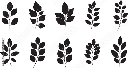 Group of Black Leafy Branches on White Background leaves silhouette