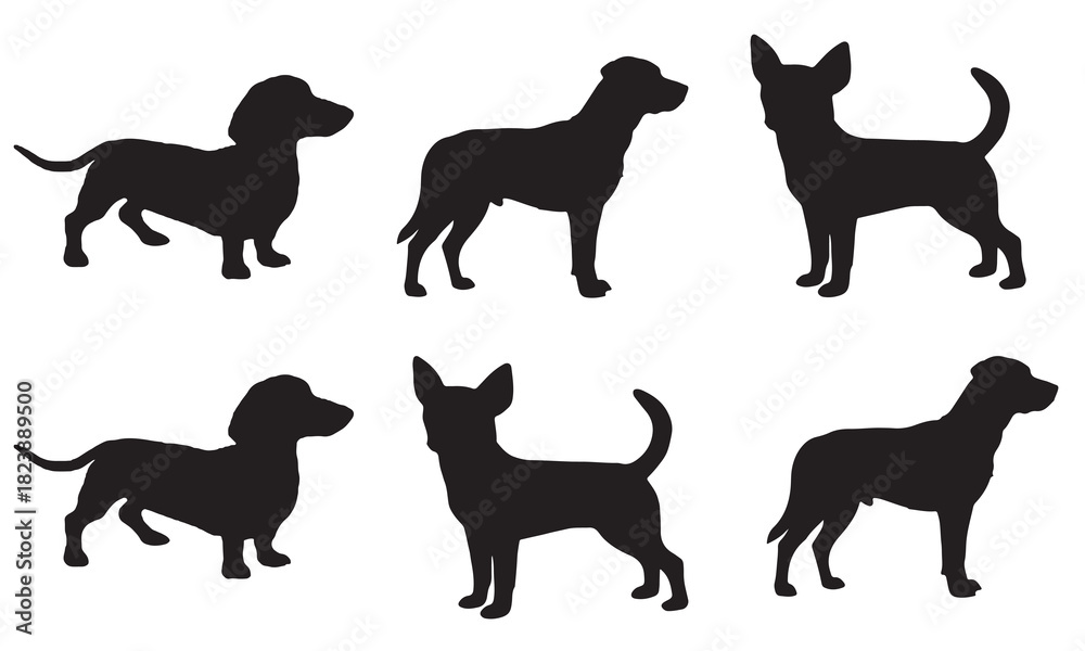 Obraz premium Collection of six black silhouette illustrations of various small dog breeds standing and in profile against a white background perfect for graphic design