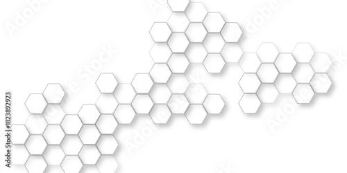 beautiful geometric pattern white gray hexagonal, abstract white hexagon concept background, hexagon concept design abstract technology, hexagon polygonal pattern background.