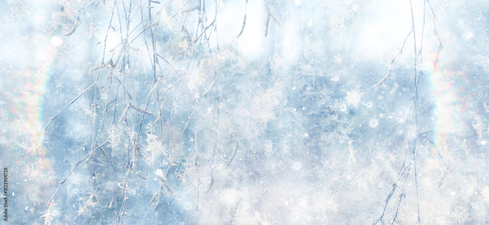 Naklejka premium Winter park, abstract background, snow, blurred trees, festive backdrop