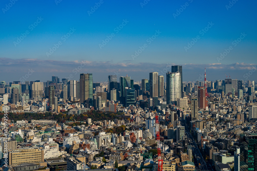 Fototapeta premium Panoramic view of Tokyo central area cityscape with Tokyo Tower at daytime