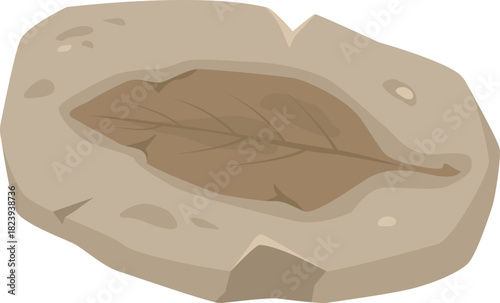 Ancient plant leaf fossil embedded in rock