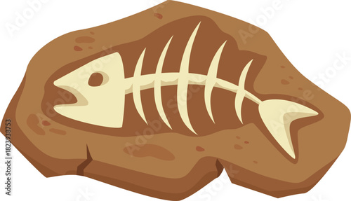 Ancient fish fossil showing prehistoric marine life history