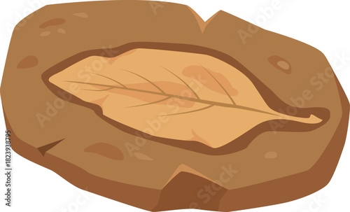 Fossilized leaf impression in rock documenting natural history