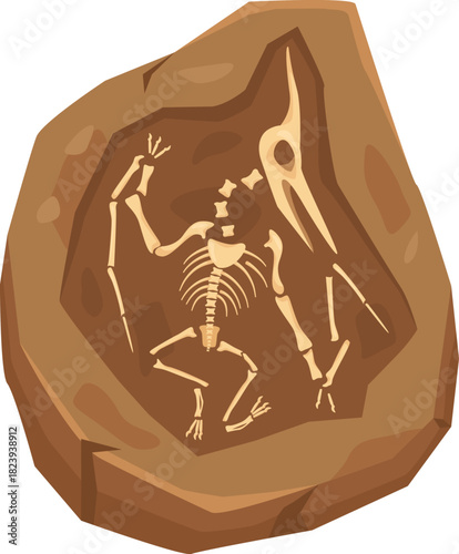 Pterodactyl skeleton fossil embedded in sedimentary rock