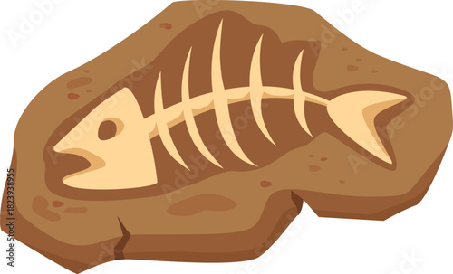 Fish skeleton fossil illustrating ancient prehistoric life science