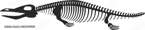 Prehistoric ichthyosaur skeleton outline representing ancient life