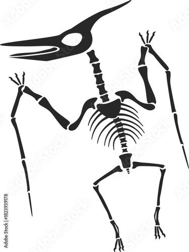 Pterodactyl skeleton drawing representing prehistoric flying dinosaur