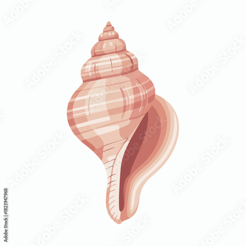 Detailed illustration of a single elegant pink conch seashell with a spiral shape.