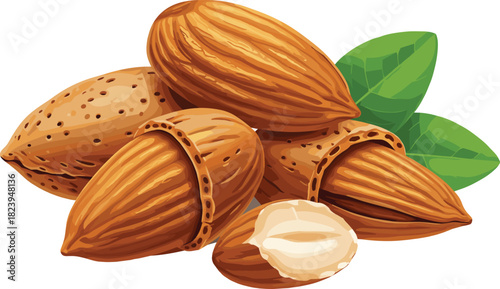 Whole and Cracked Almonds with Green Leaves Vector Illustration, Healthy Snack Ingredient, Nutrient-Rich Food Source, Delicious Raw Organic Nuts, Natural Superfood for Culinary