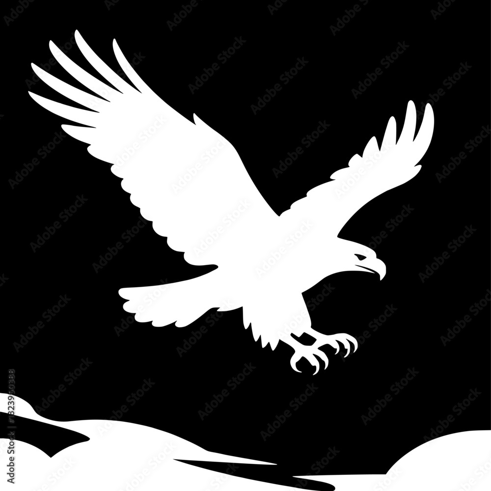 Obraz premium Eagle-in-sky