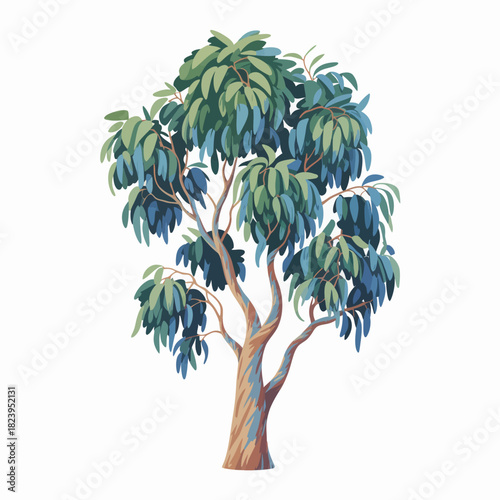 Eucalyptus tree