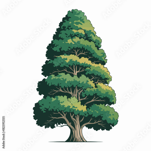 Cypress tree