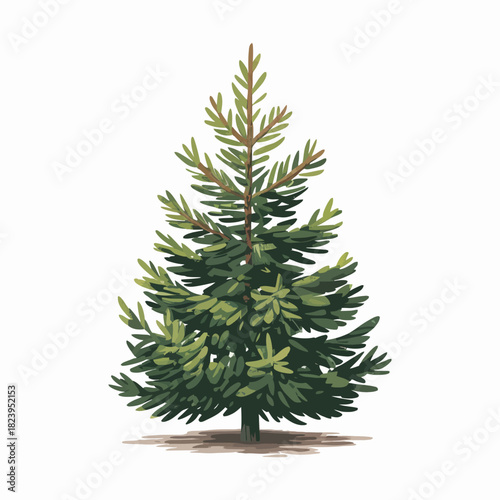 Fir tree