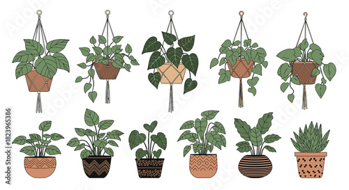 Large collection of hand-drawn indoor plants in decorative pots and macrame hangers for a cozy home decor and garden concept.