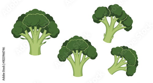 Set of fresh green broccoli florets shown from different angles for healthy eating and vegetable food ingredient concepts.