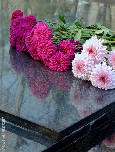 pink chrysanthemum flowers