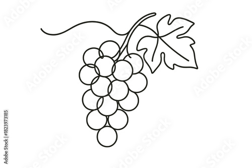 Minimalist black and white line art of grapes with leaf