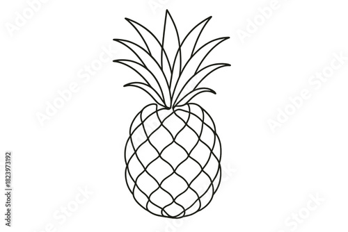 Outline drawing of pineapple with detailed texture and leaves
