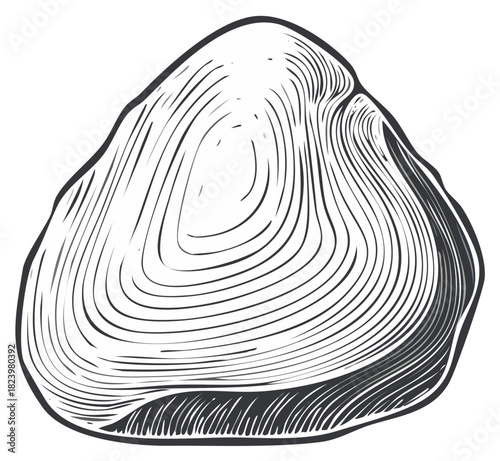 Black and white line art engraving of an oyster shell depicting natural texture.
