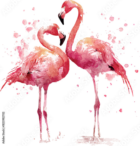 Elegant watercolor depiction of two loving flamingos standing together on a clean white background - vector illustration
