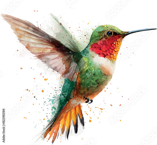 Expressive watercolor artwork of a hummingbird gliding peacefully through the air with refined strokes over a clean white background - vector illustration