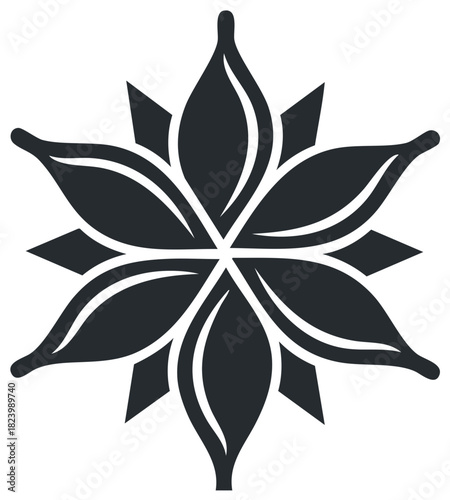 Stylized star anise seed pod silhouette graphic design element