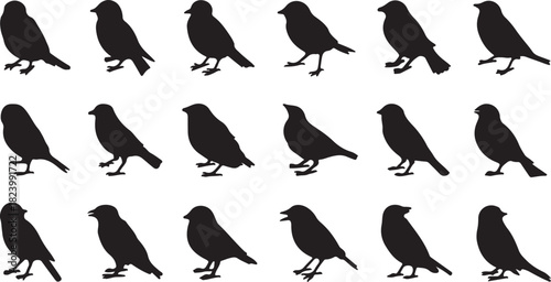 Grid of Black Silhouette Sparrows Perched and Standing on White Background bird avian