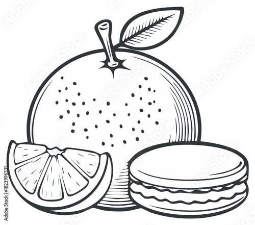 Outline Drawing Featuring Fresh Orange Fruits and Macaron Cookie, Minimalist Style