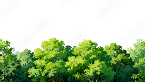 Colorful tree foliage in a lush, green forest clearing showcasing vibrant nature and peaceful environment