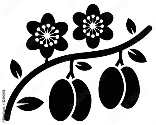 Silhouette of plum branch with flowers and fruits, black and white design