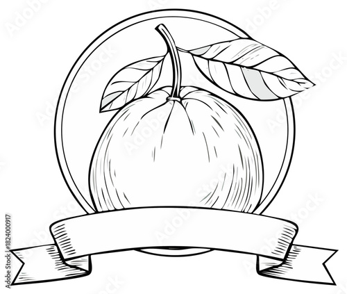 Orange fruit with leaves and blank banner in circular frame line drawing style