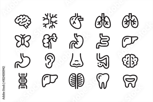 Line art human organ and anatomy icon set for medical and educational use