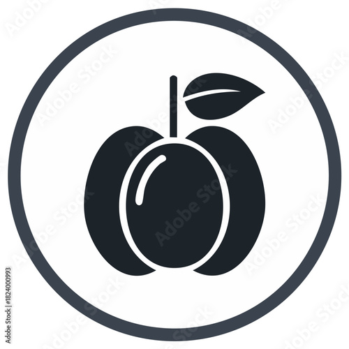 Stylized illustration of a plum fruit inside a circular frame in a flat design