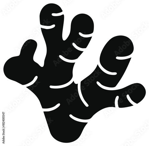 Abstract Ginger Root Shape Illustration for Culinary Ingredient or Herbal Remedy Art