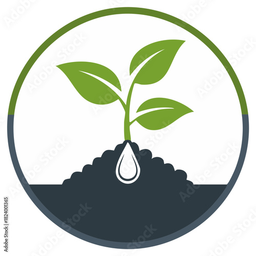 Young green plant growing in soil with watering droplet icon