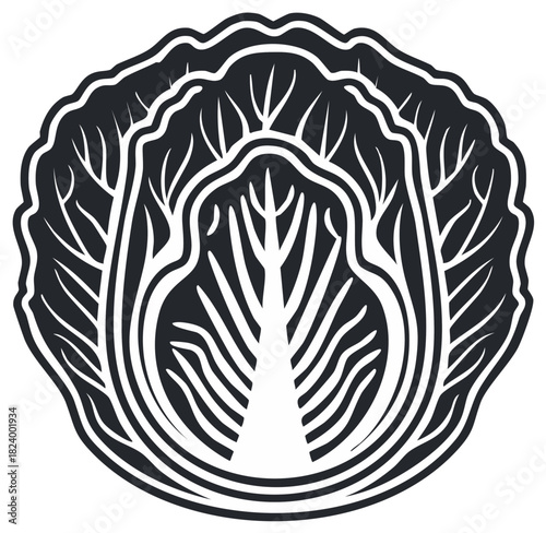 Stylized Napa Cabbage Illustration Flat Design Organic Vegetable Minimalist Isolated