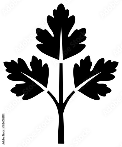 Flat black icon of fragrant parsley or cilantro sprig for culinary design and healthy eating