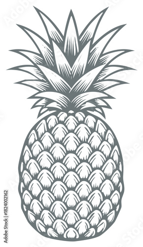Stylized grey pineapple illustration with sharp spiky leaves and textured rind