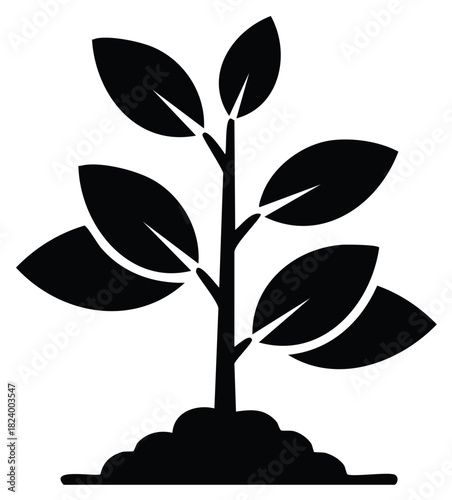 Black silhouette of a young plant growing from fertile soil representing new life and growth