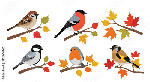 Charming collection of various small birds including sparrows and robins perched on branches with vibrant autumn leaves.