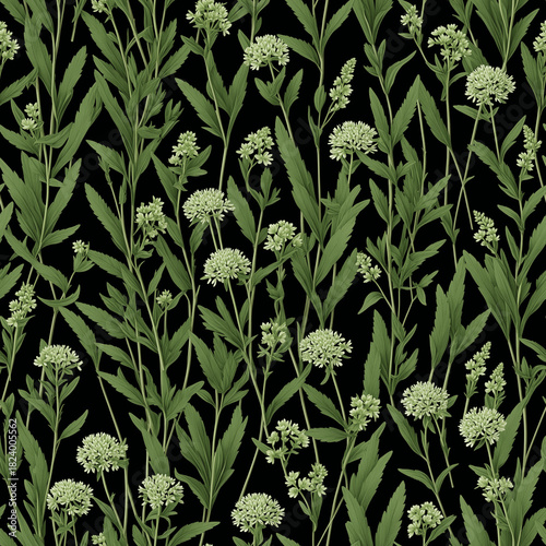 Seamless floral pattern with clustered umbel blossoms and green leafy stems on black background, decorative botanical motif for textile, wallpaper and wrapping paper - AI generated